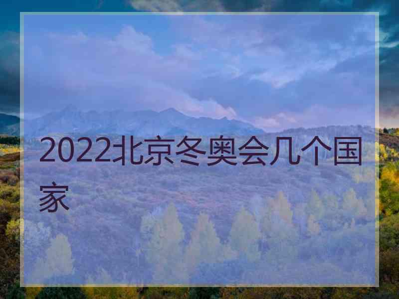 2022北京冬奥会几个国家