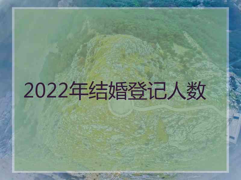 2022年结婚登记人数