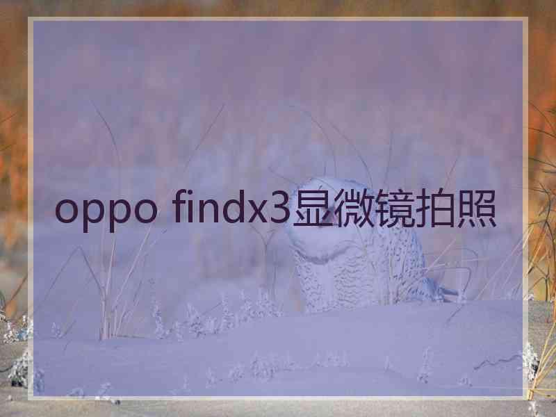 oppo findx3显微镜拍照