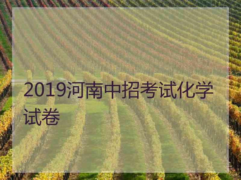 2019河南中招考试化学试卷