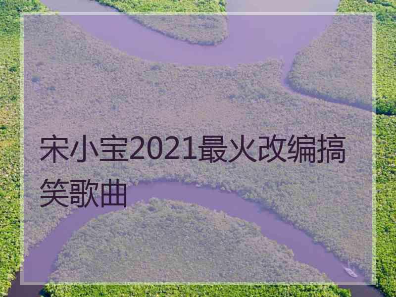 宋小宝2021最火改编搞笑歌曲