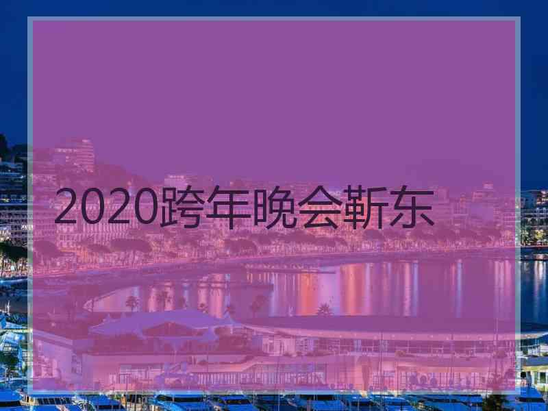 2020跨年晚会靳东