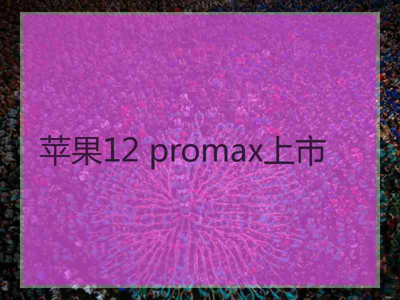 苹果12 promax上市