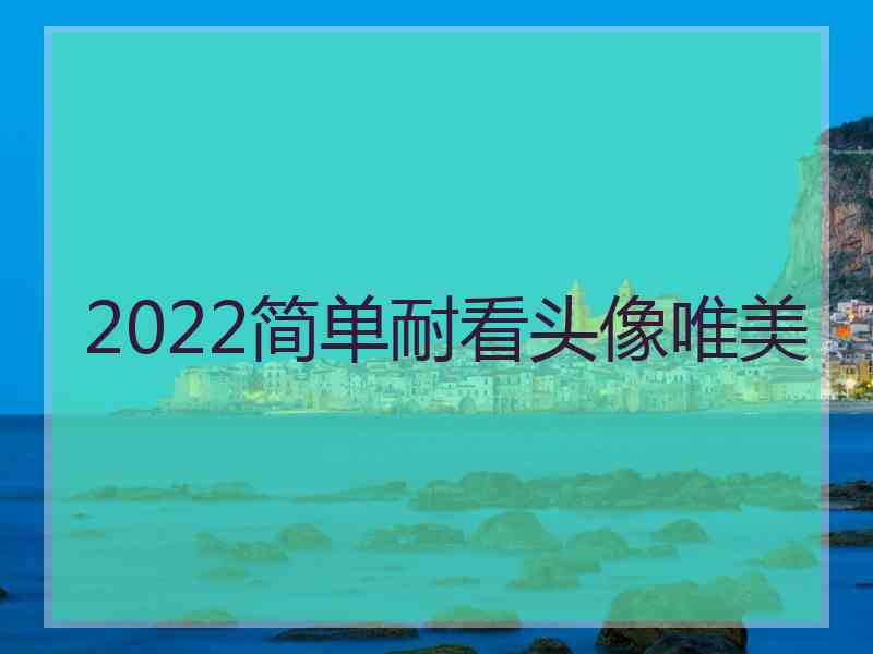 2022简单耐看头像唯美