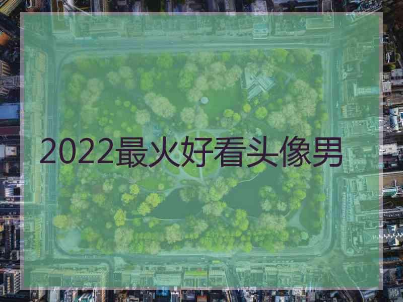 2022最火好看头像男