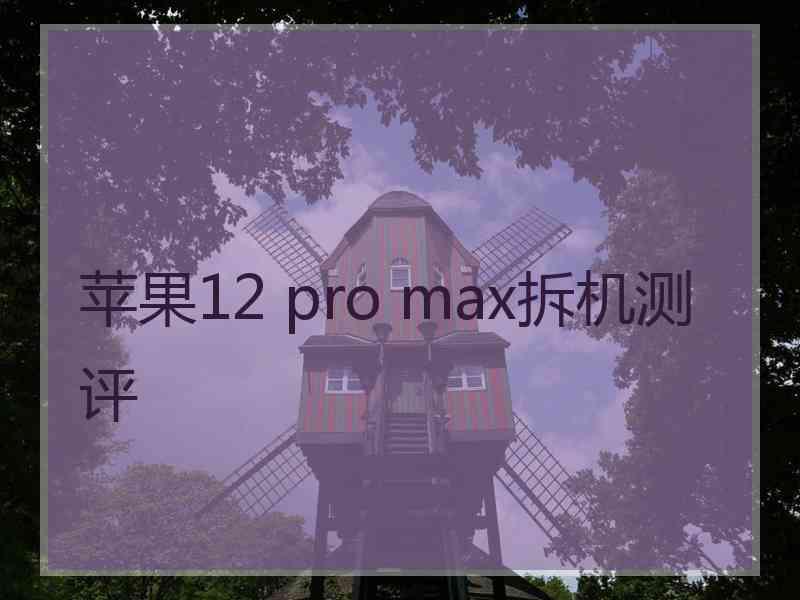 苹果12 pro max拆机测评