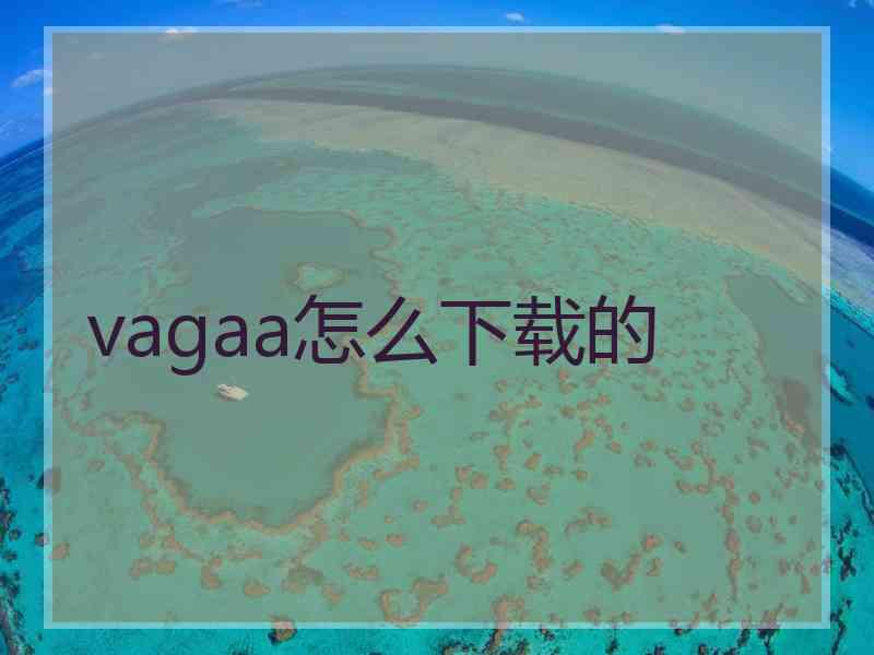 vagaa怎么下载的