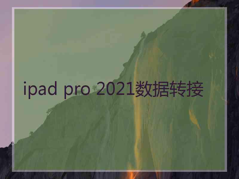 ipad pro 2021数据转接