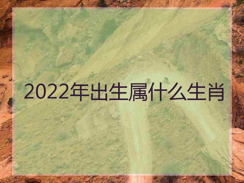 2022年出生属什么生肖