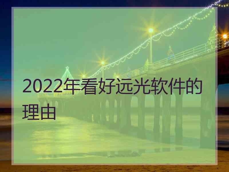 2022年看好远光软件的理由