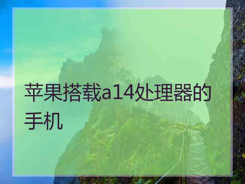 苹果搭载a14处理器的手机