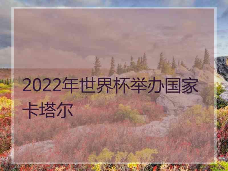 2022年世界杯举办国家卡塔尔