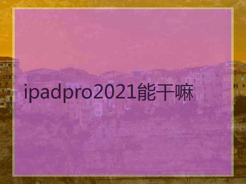 ipadpro2021能干嘛