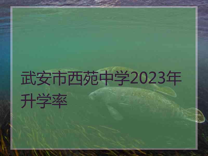 武安市西苑中学2023年升学率