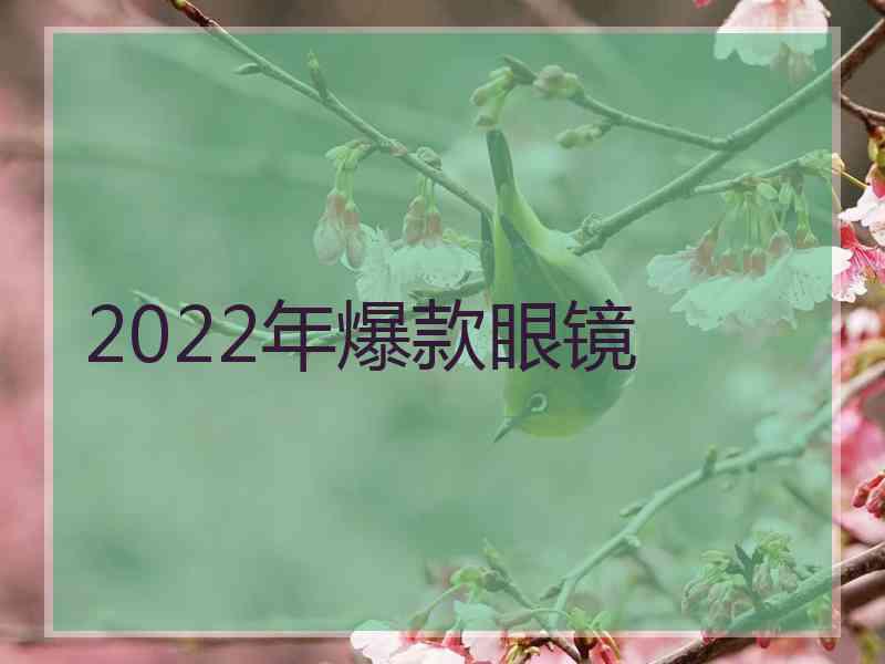 2022年爆款眼镜