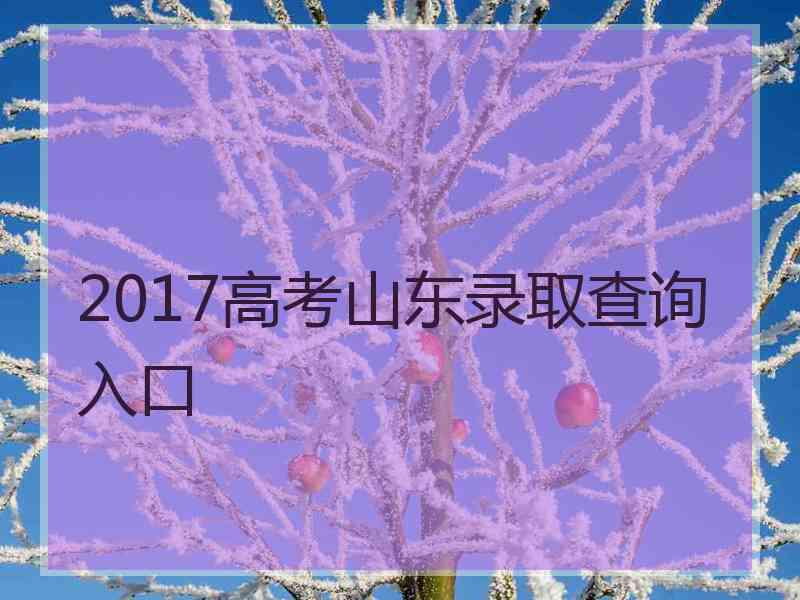 2017高考山东录取查询入口