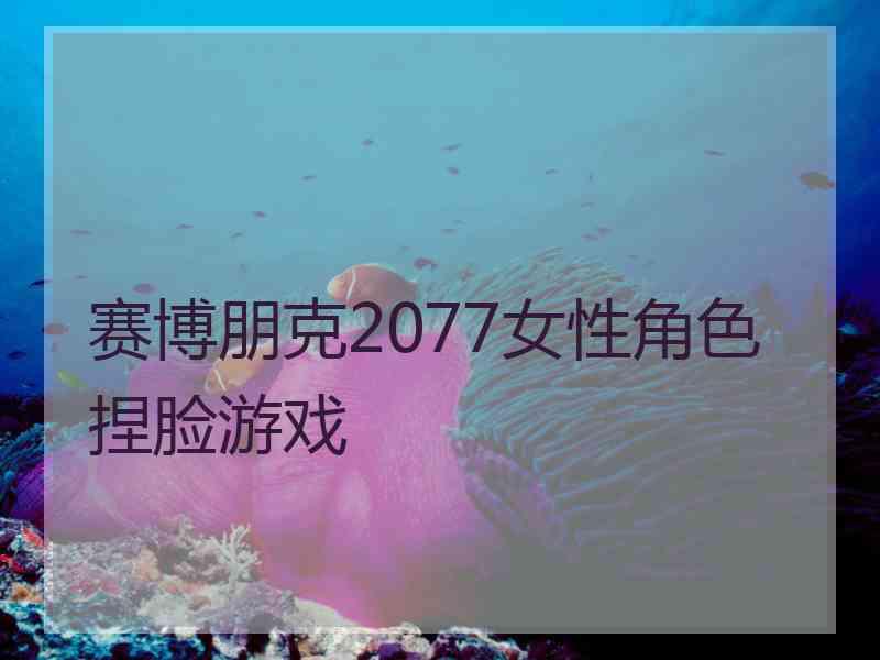 赛博朋克2077女性角色捏脸游戏