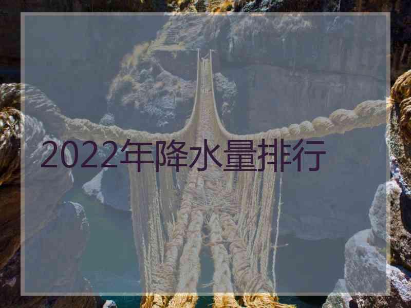 2022年降水量排行