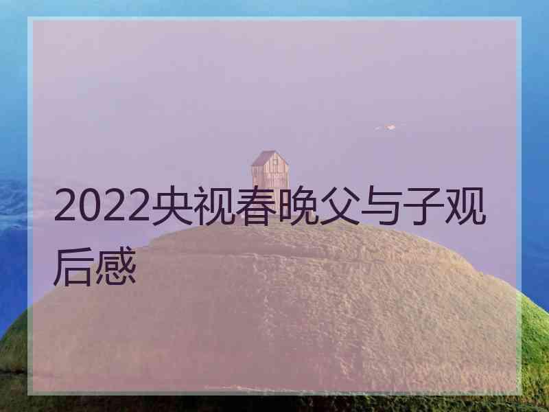 2022央视春晚父与子观后感