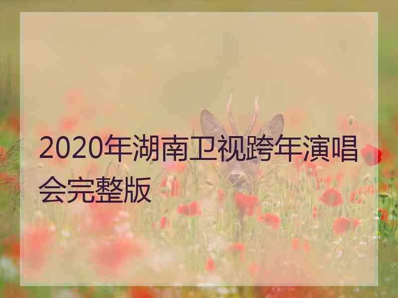 2020年湖南卫视跨年演唱会完整版