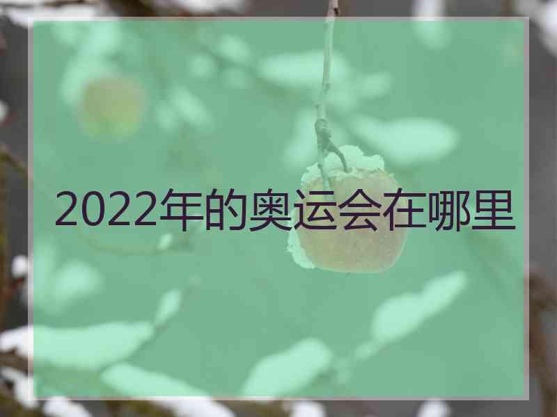 2022年的奥运会在哪里