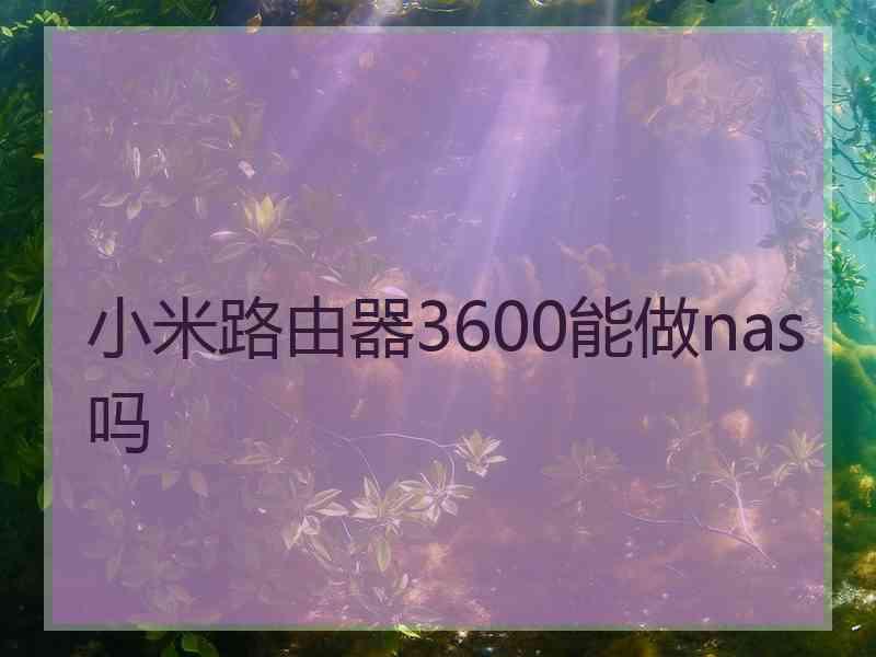 小米路由器3600能做nas吗