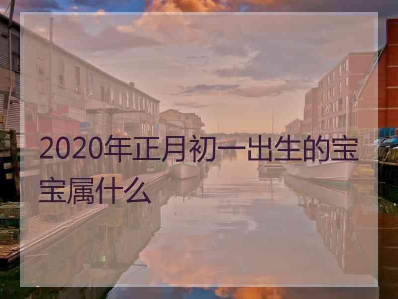 2020年正月初一出生的宝宝属什么