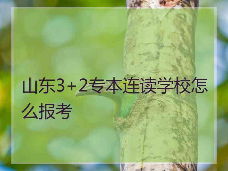 山东3+2专本连读学校怎么报考