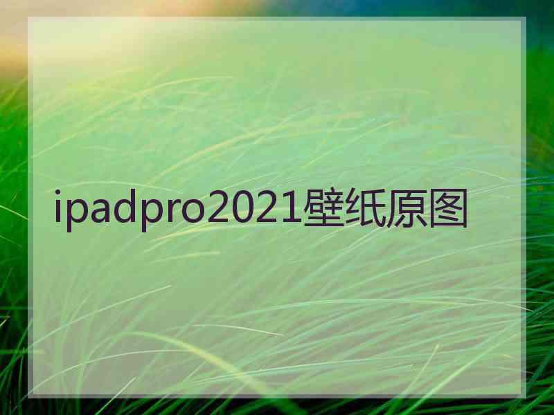 ipadpro2021壁纸原图