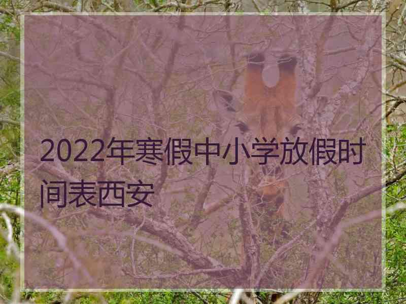 2022年寒假中小学放假时间表西安