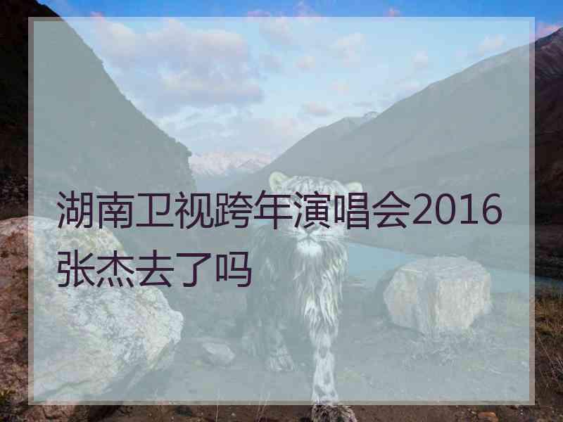 湖南卫视跨年演唱会2016张杰去了吗