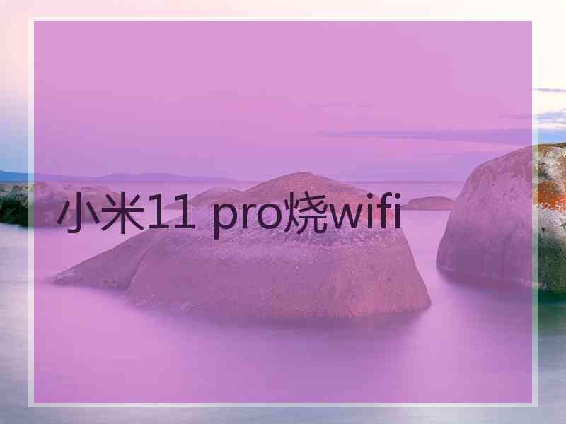 小米11 pro烧wifi