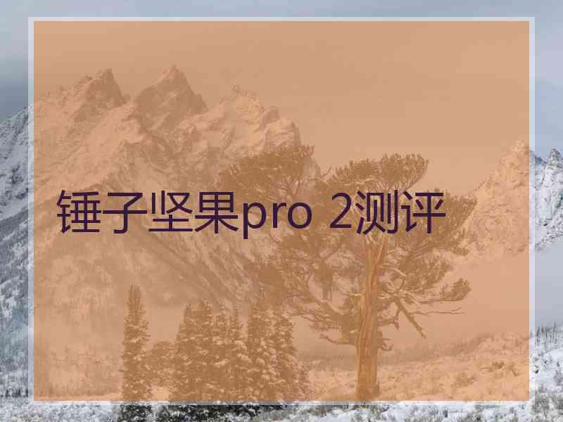 锤子坚果pro 2测评