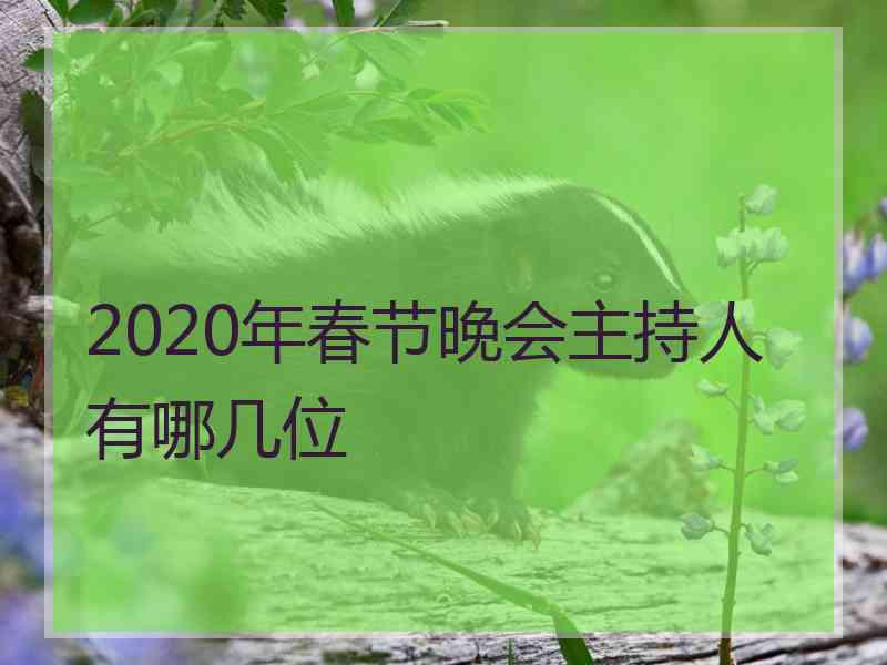 2020年春节晚会主持人有哪几位