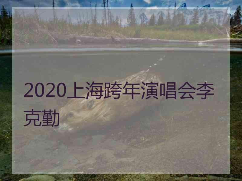 2020上海跨年演唱会李克勤