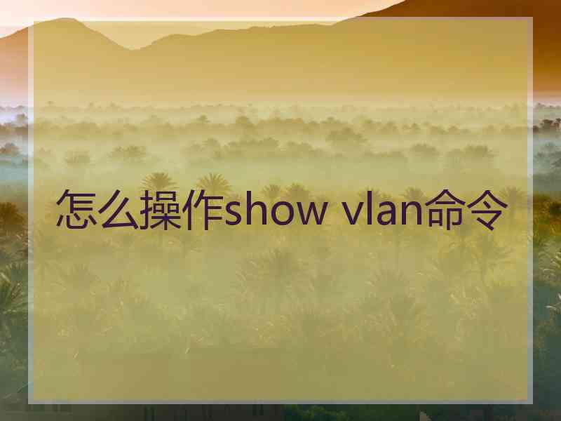 怎么操作show vlan命令