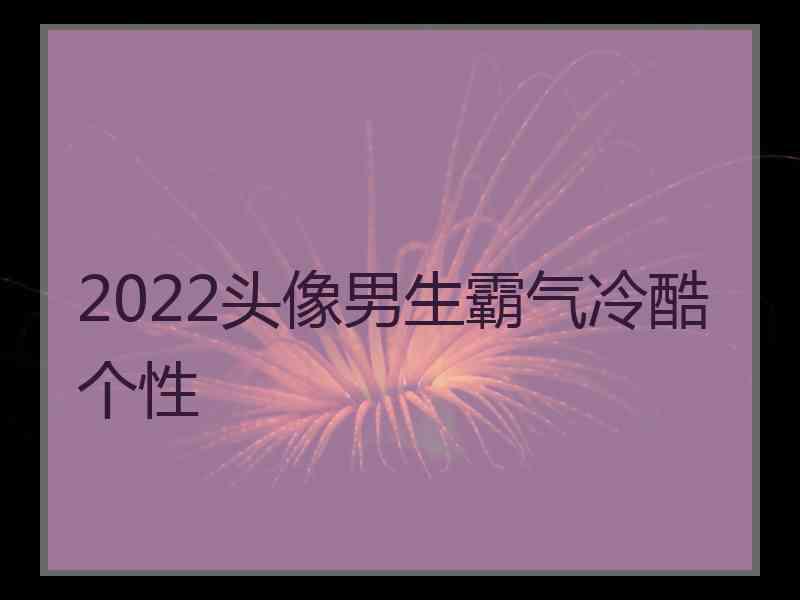 2022头像男生霸气冷酷个性