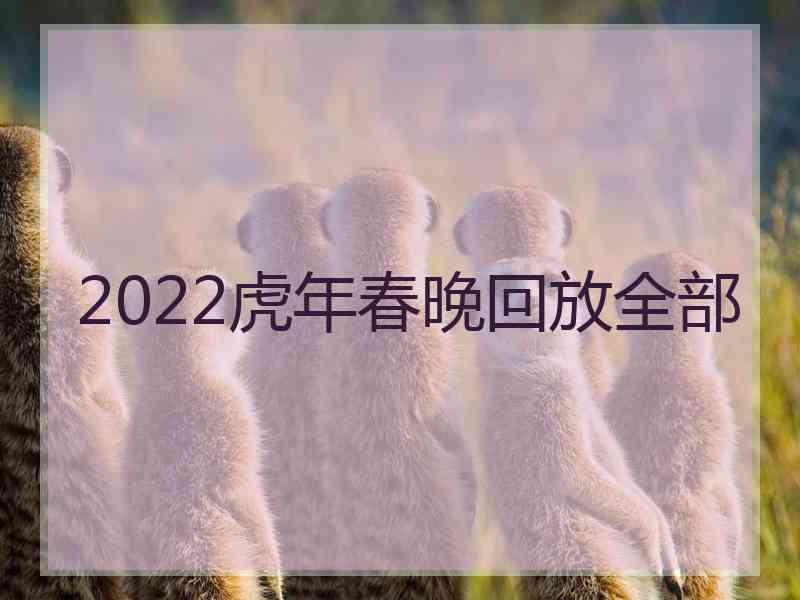 2022虎年春晚回放全部