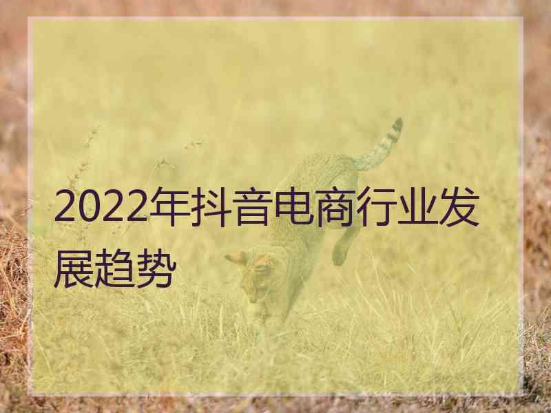 2022年抖音电商行业发展趋势