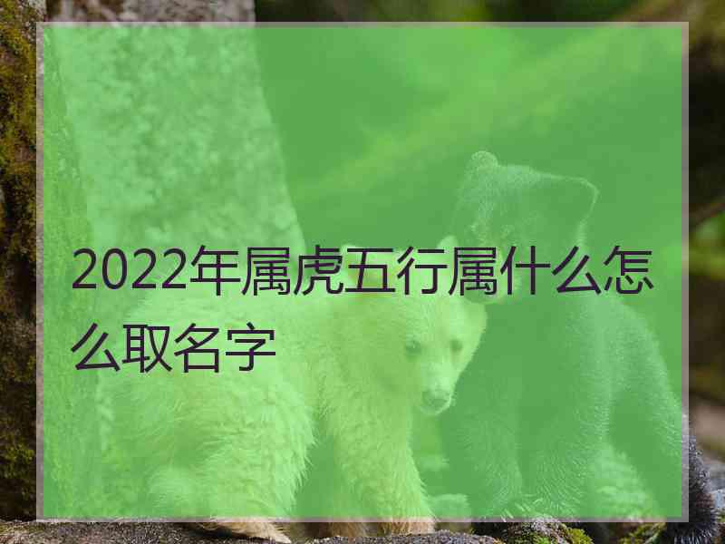 2022年属虎五行属什么怎么取名字