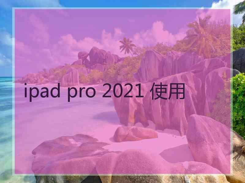 ipad pro 2021 使用