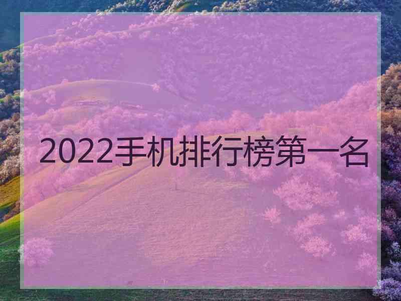 2022手机排行榜第一名