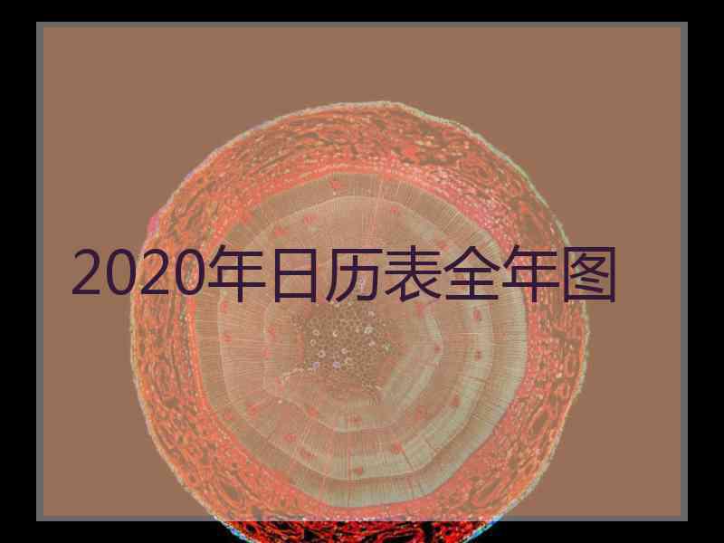 2020年日历表全年图