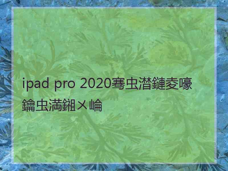 ipad pro 2020骞虫澘鏈夌嚎鑰虫満鎺ㄨ崘