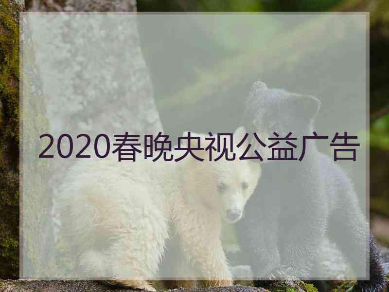 2020春晚央视公益广告