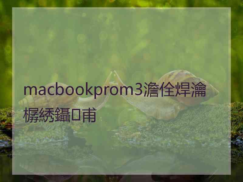 macbookprom3澹佺焊瀹樼綉鑷甫