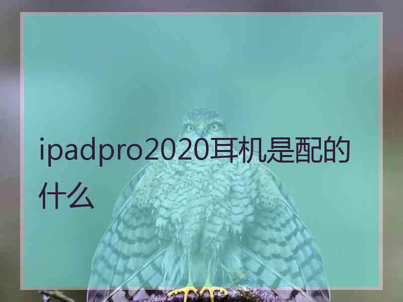 ipadpro2020耳机是配的什么