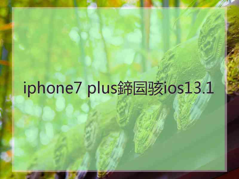 iphone7 plus鍗囩骇ios13.1