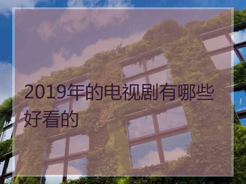 2019年的电视剧有哪些好看的