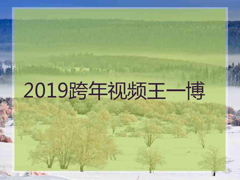 2019跨年视频王一博